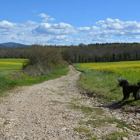 Luisa Design Hébergement de vacances Colle Val D'Elsa