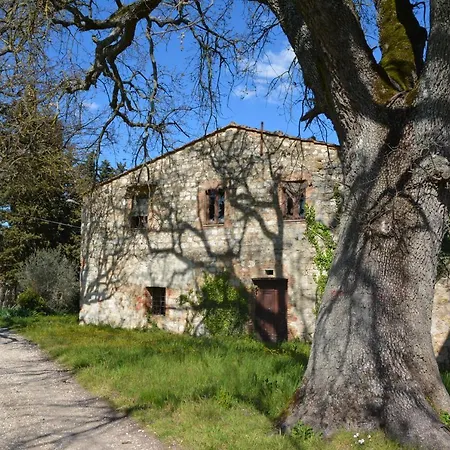 Luisa Design Colle Val D'Elsa