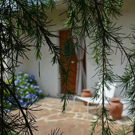 Luisa Design Hébergement de vacances Colle Val D'Elsa