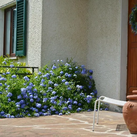 Hébergement de vacances Luisa Design Colle Val D'Elsa