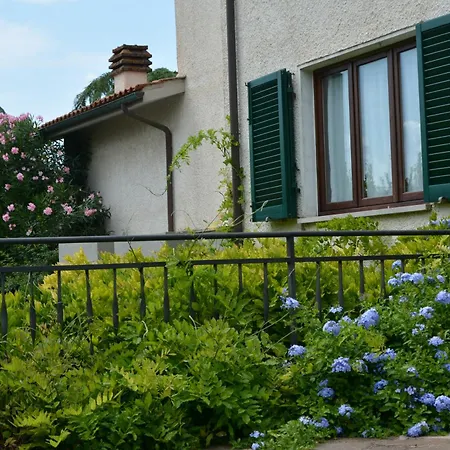 Luisa Design Colle Val D'Elsa